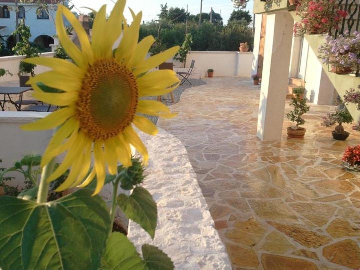 Art Rooms Joyful People Alberobello Exteriér fotografie
